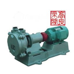 供应SZB悬臂式水环真空泵 高效可靠的真空解决方案